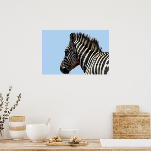Zebra blau poster (Küche)