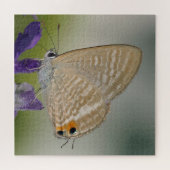 Zebra Blue Butterfly Puzzle (Horizontal)