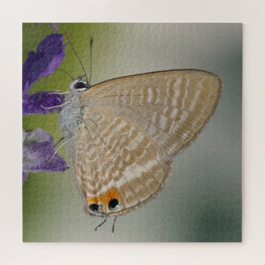 Zebra Blue Butterfly Puzzle (Horizontal)