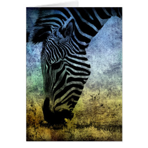 Zebra Blue und Green Grunge