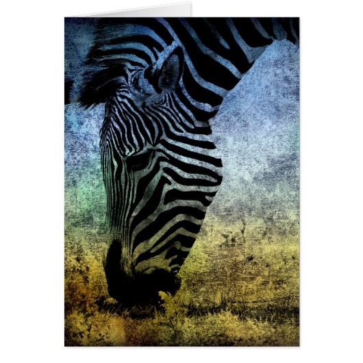 Zebra Blue und Green Grunge (Vorne)