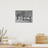 Zebra Buddies Poster (Küche)