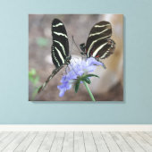 Zebra Butterflies! Leinwanddruck (Insitu (Holzboden))