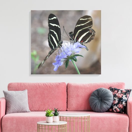 Zebra Butterflies! Leinwanddruck (Insitu (Wohnzimmer))