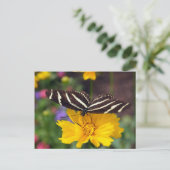 Zebra Butterfly Beauty Postkarte (Stehend Vorderseite)
