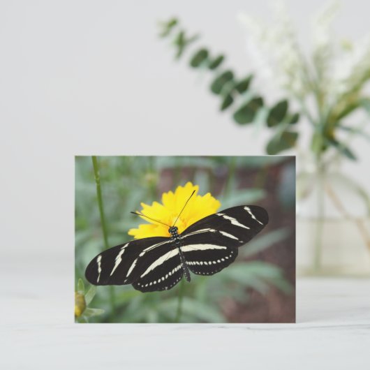 Zebra Butterfly Postkarte (Stehend Vorderseite)
