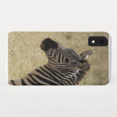Zebra Case-Mate iPhone Hülle (Rückseite (Horizontal))
