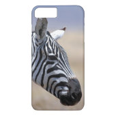 Zebra Case-Mate iPhone Hülle (Rückseite)