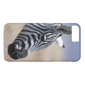 Zebra Case-Mate iPhone Hülle (Rückseite (Horizontal))