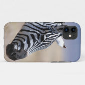 Zebra Case-Mate iPhone Hülle (Rückseite (Horizontal))