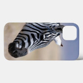 Zebra Case-Mate iPhone Hülle (Rückseite (Horizontal))