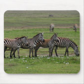 Zebra Clan Mousepad (Vorne)