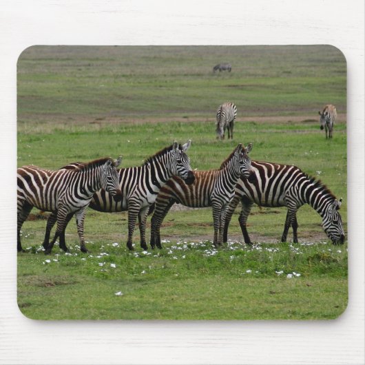 Zebra Clan Mousepad (Vorne)