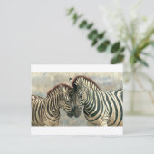 zebra-clip-art-3 postkarte (Stehend Vorderseite)