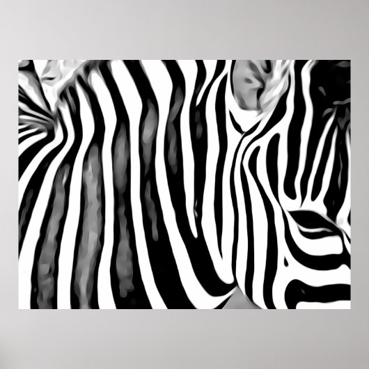 Zebra close up    poster (Vorne)