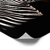 Zebra Coole Sonnenbrille Poster (Ecke)