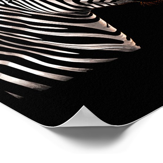 Zebra Coole Sonnenbrille Poster (Ecke)