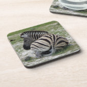 Zebra Cork Untersetzer (Linke Seite)