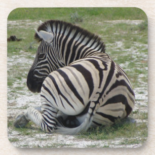 Zebra Cork Untersetzer