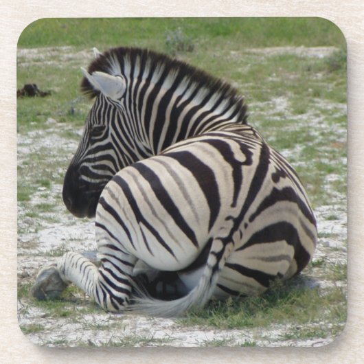 Zebra Cork Untersetzer (Vorderseite)