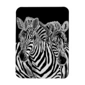Zebra Couple Magnet (Vertikal)
