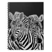 Zebra Couple-Notebook Notizblock (Vorderseite)