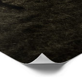 Zebra Dawn Poster (Ecke)