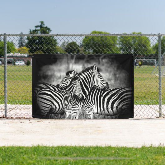 Zebra-Dazzle Banner (InSitu)