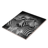 Zebra-Dazzle Fliese (Seite)