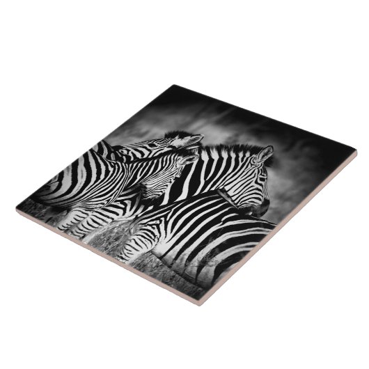 Zebra-Dazzle Fliese (Seite)