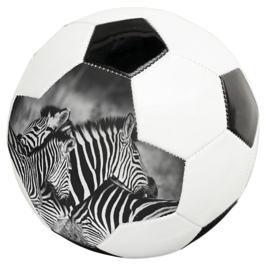 Zebra-Dazzle Fußball (Dreiviertel)