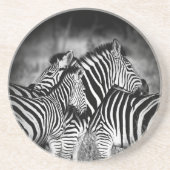 Zebra-Dazzle Getränkeuntersetzer (Vorne)