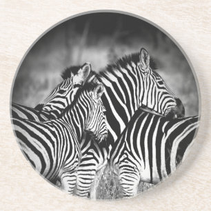 Zebra-Dazzle Getränkeuntersetzer