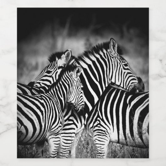 Zebra-Dazzle Weinetikett (Einzelnes Label)