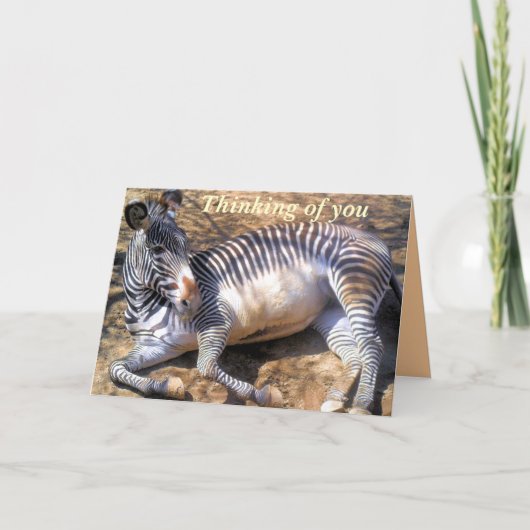Zebra der Liebe_ Karte (Vorderseite)