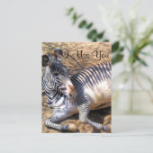 Zebra der Liebe_ Postkarte (Stehend Vorderseite)