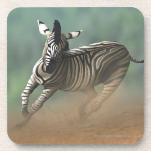 Zebra, der über die Wüstenlandschaft galoppiert Untersetzer