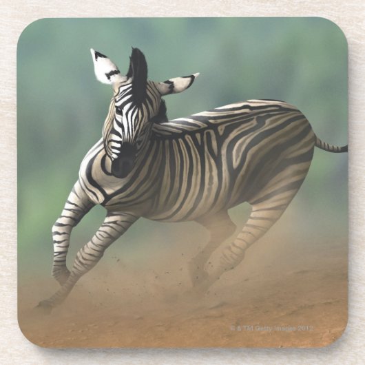 Zebra, der über die Wüstenlandschaft galoppiert Untersetzer (Vorderseite)