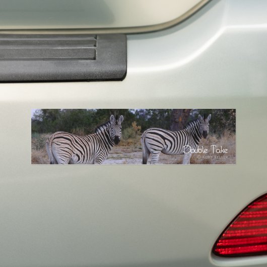 Zebra Double Take Foto Autoaufkleber (Auf Auto)