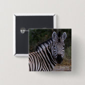 Zebra Double Take Foto Button (Vorne & Hinten)