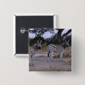 Zebra Double Take Foto Button (Vorne & Hinten)