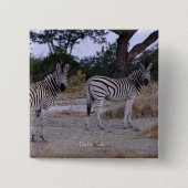 Zebra Double Take Foto Button (Vorderseite)