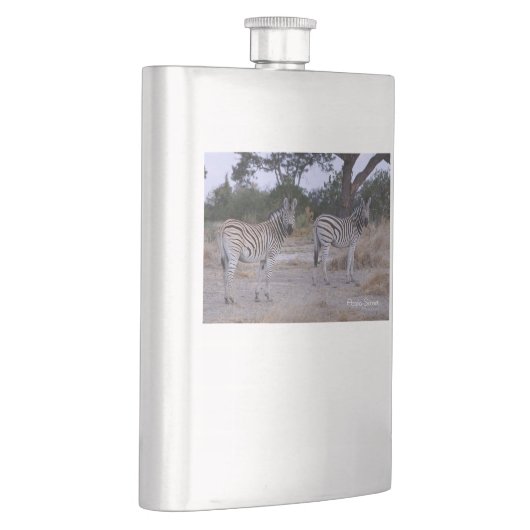 Zebra Double Take Foto Flachmann (Rechts)