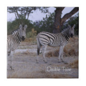 Zebra Double Take Foto Fliese (Vorderseite)