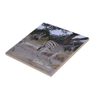 Zebra Double Take Foto Fliese
