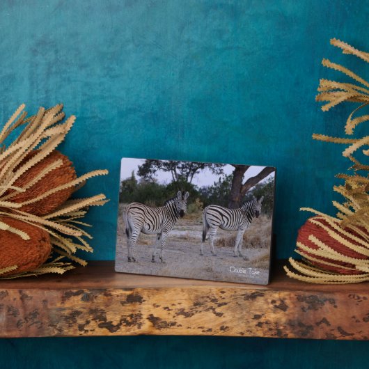 Zebra Double Take Foto Fotoplatte (Seite)