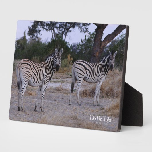 Zebra Double Take Foto Fotoplatte (Seite)