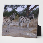 Zebra Double Take Foto Fotoplatte (Seite)