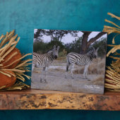Zebra Double Take Foto Fotoplatte (Seite)