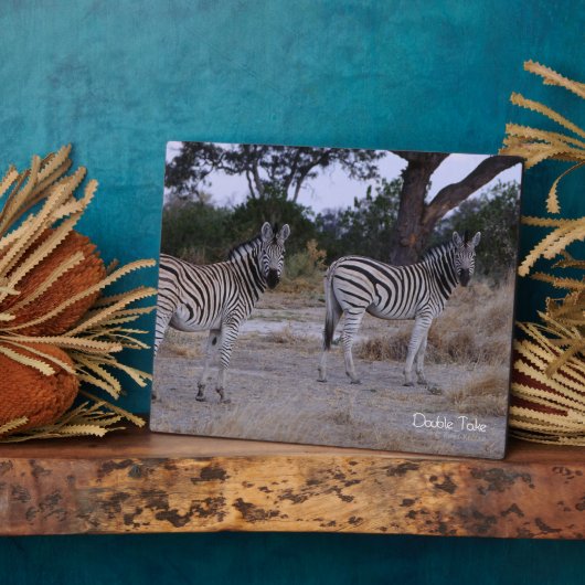 Zebra Double Take Foto Fotoplatte (Seite)